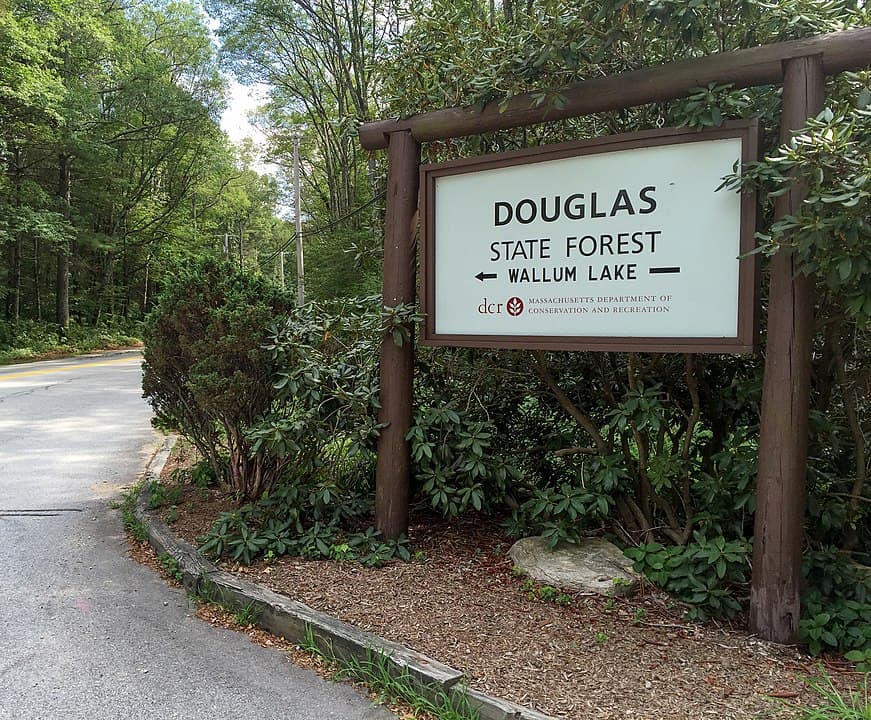 Douglas State Forest Trail For MTB Riders