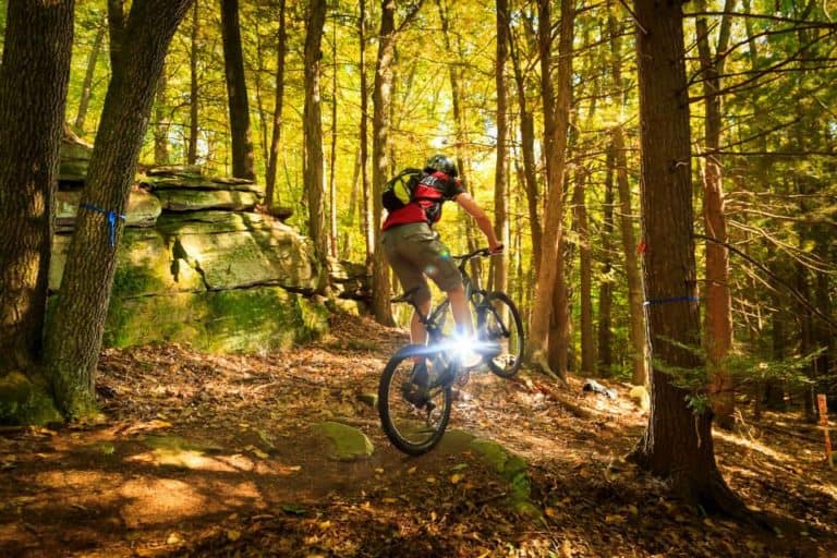 10 Noteowrthy Mouuntain Bike Trails and Parks In Massachusetts